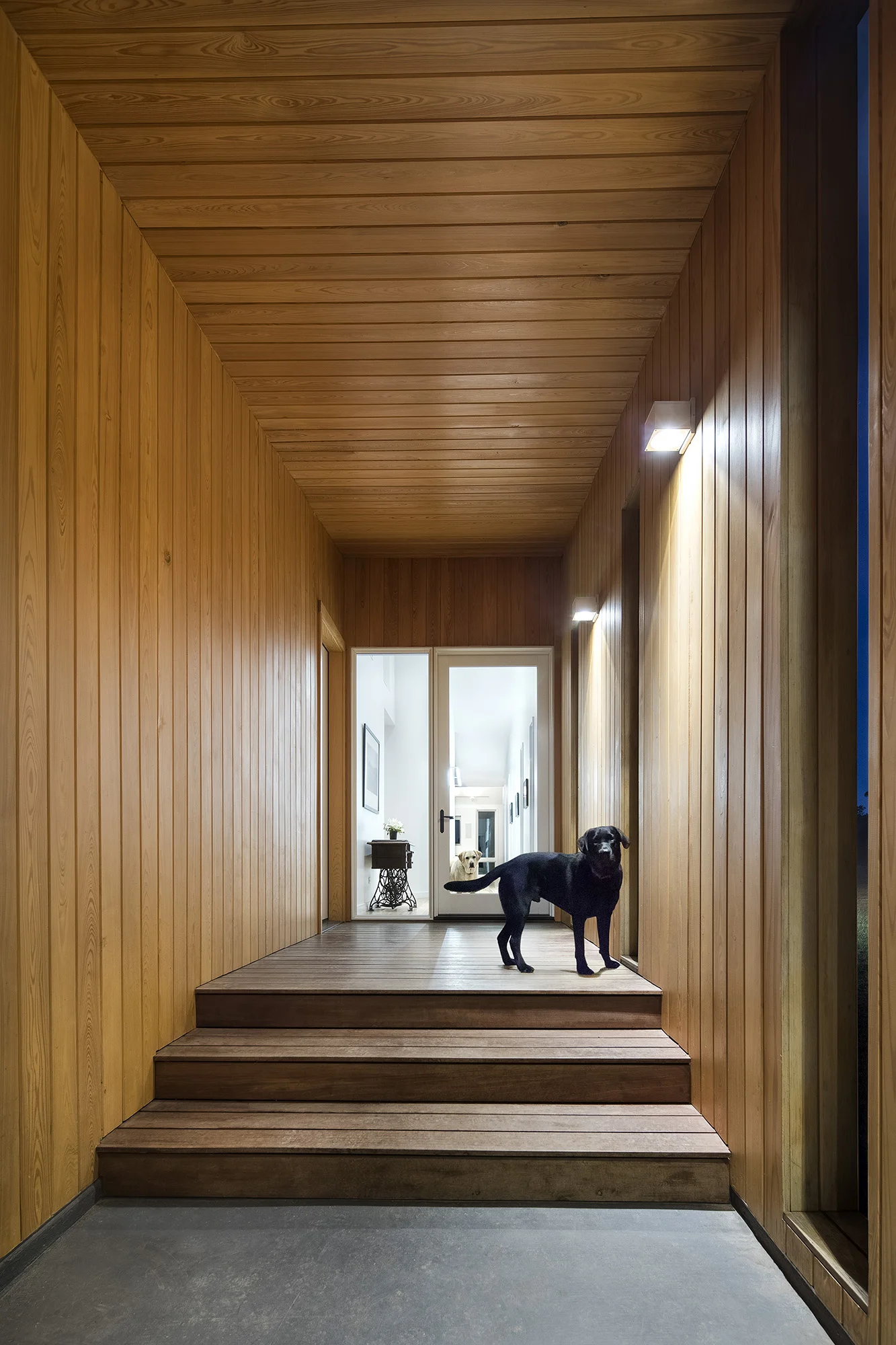 Hill Country House — Miró Rivera Architects | Residential